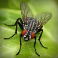 /album/mortgage-brokers-mandurah/photolia-a01-jpg/