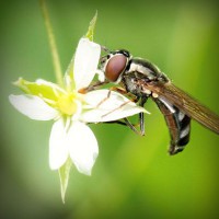 /album/mortgage-brokers-mandurah/photolia-a02-jpg/