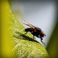 /album/mortgage-brokers-mandurah/photolia-a04-jpg/