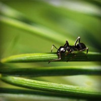 /album/mortgage-brokers-mandurah/photolia-a05-jpg/