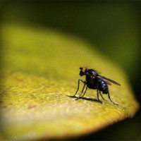 /album/mortgage-brokers-mandurah/photolia-a07-jpg/