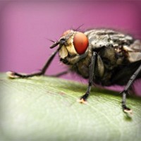 /album/mortgage-brokers-mandurah/photolia-a08-jpg/